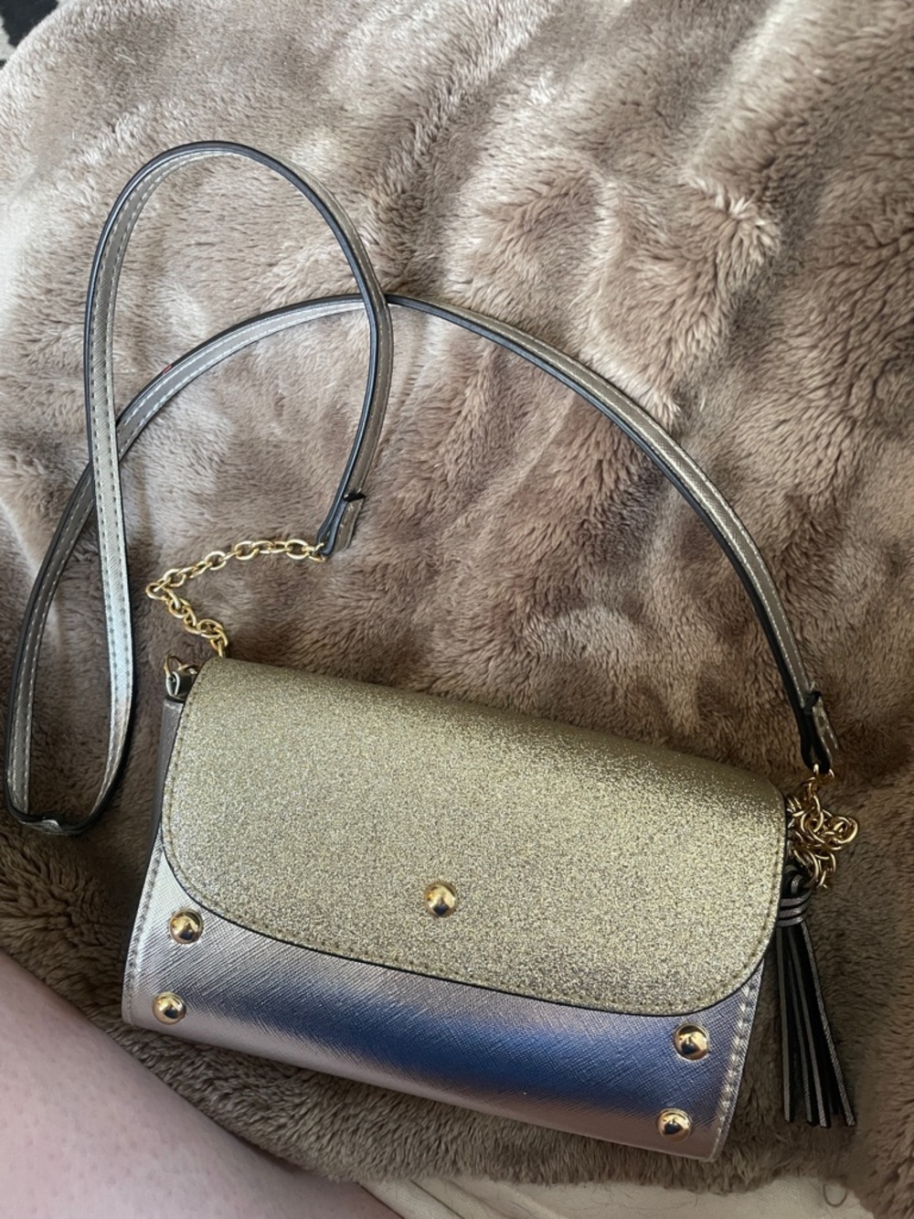 Fiona Night Metallic Gold & Silver Crossbody Shoulder Bag